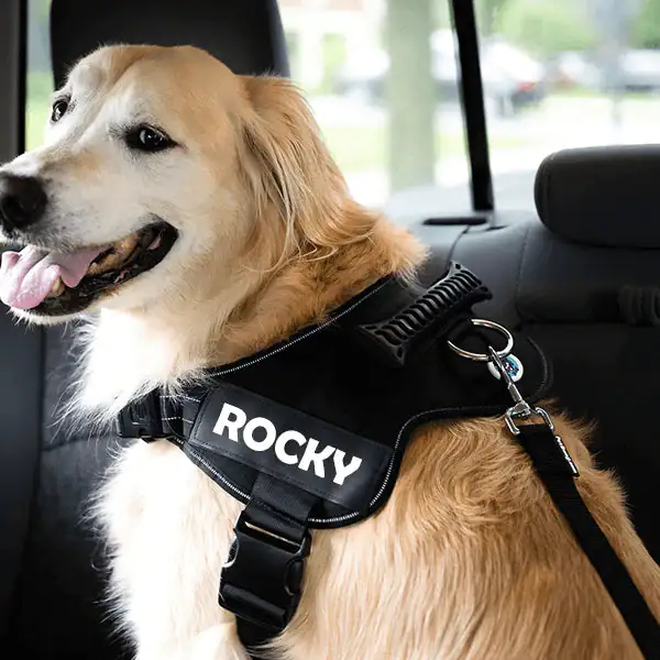 Adjustable Dog Seat Belt