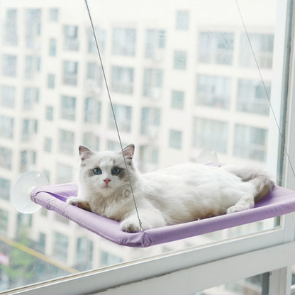 Cat Hanging Bed Shelf