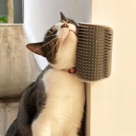 Attachable Wall Scratcher