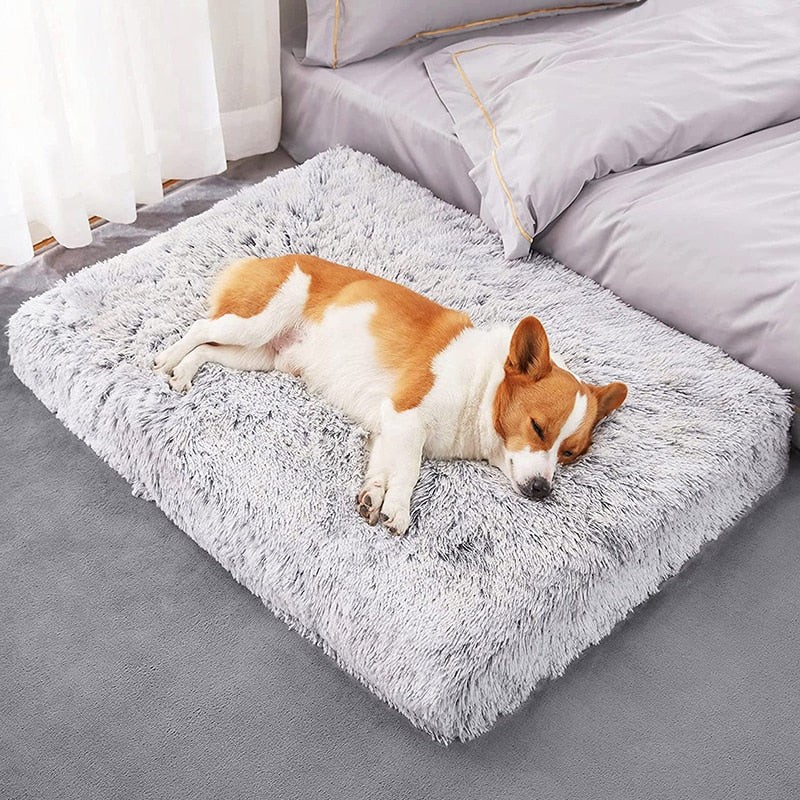 CozyClean Pet Bed - ViceWears